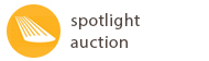 Spotlight Auction