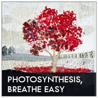 Mini Gallery - Photosynthesis, Breathe Easy