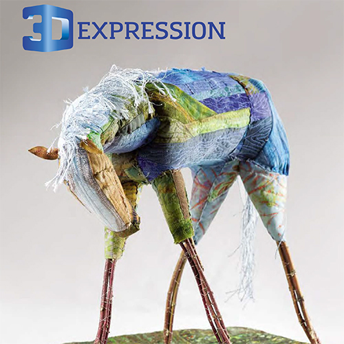 3D Expression